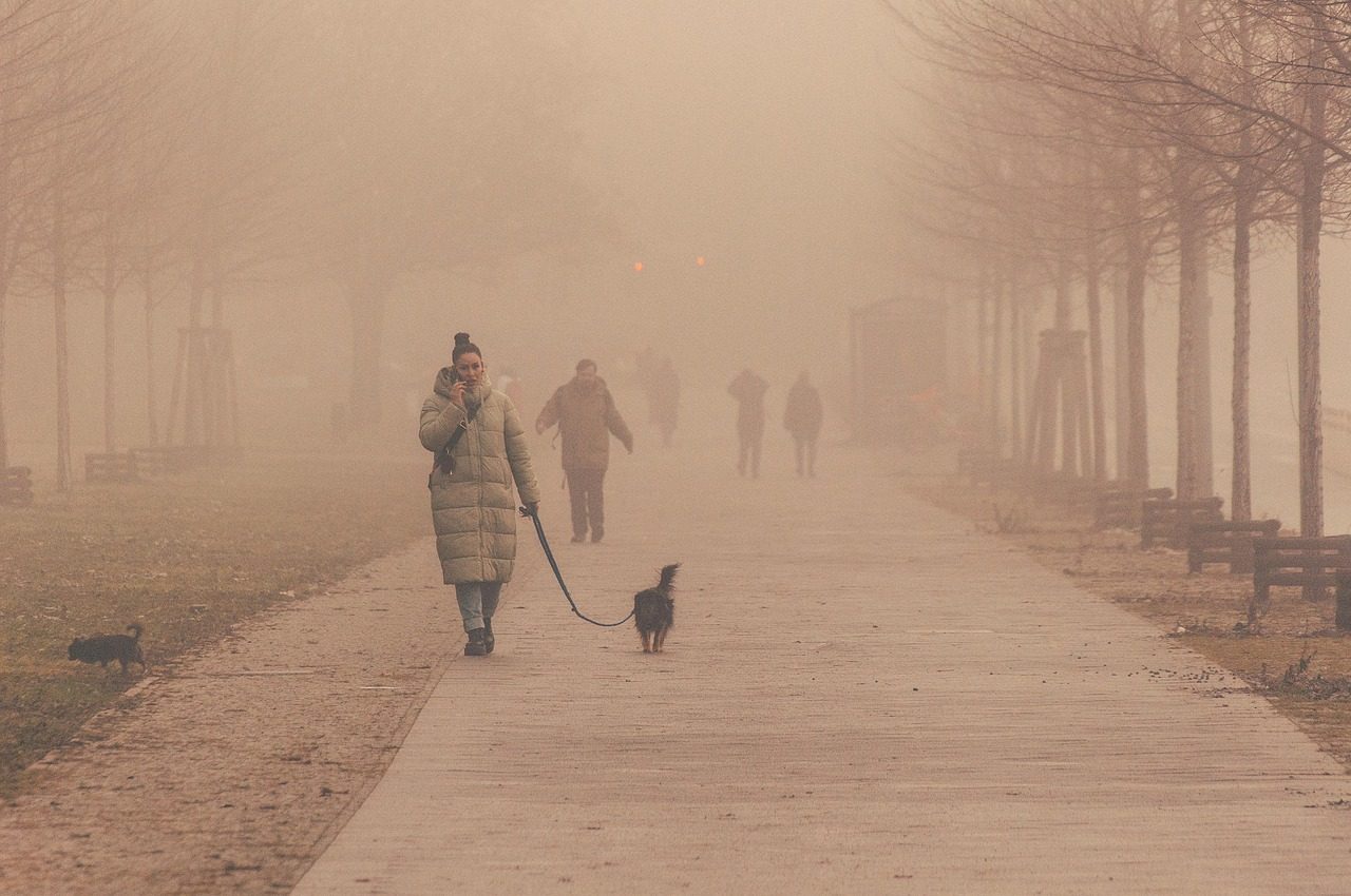 Svežo gozdno zelenje in lesene sklede z zelenjavo