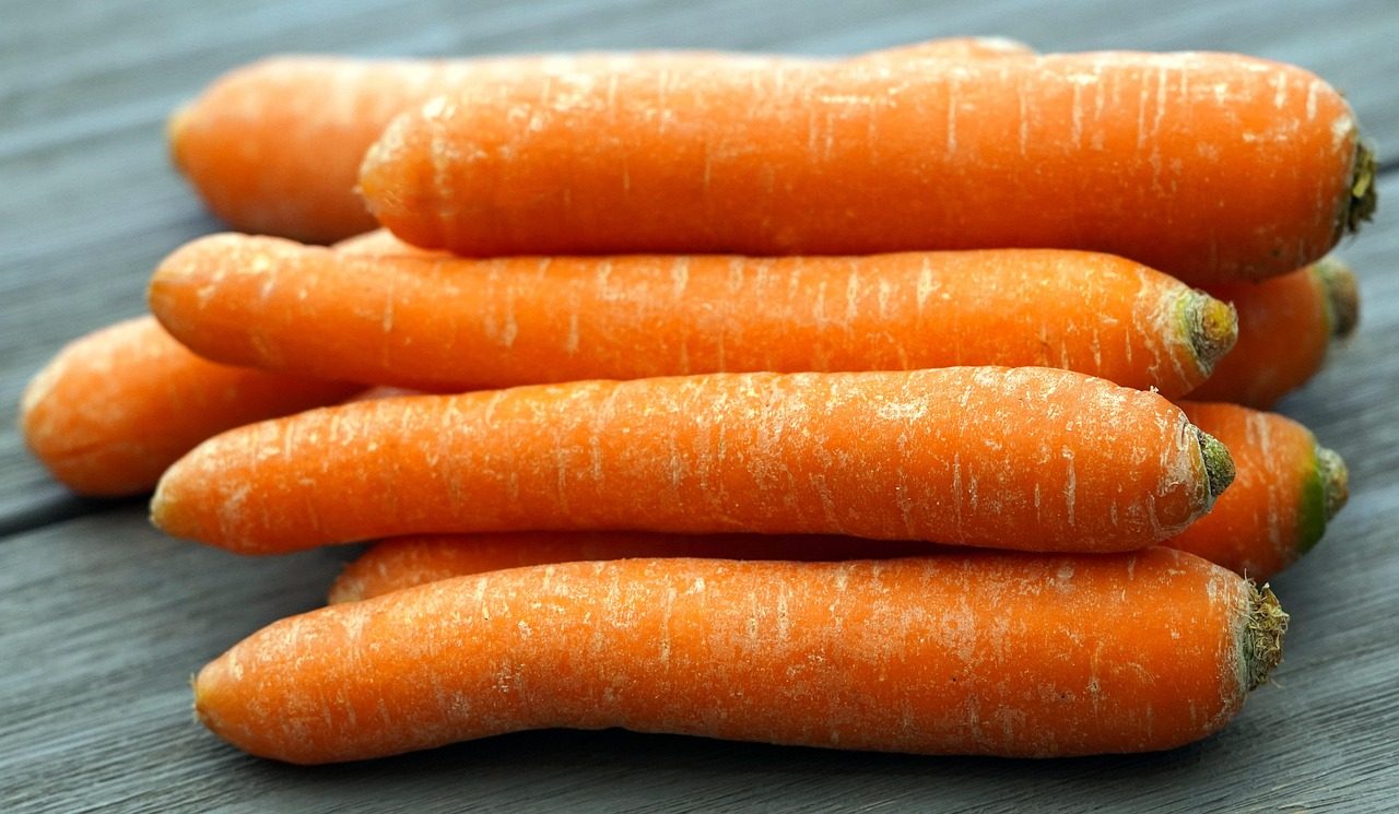 Sveža gozdna zelenjava in sadje v košari ob slapu